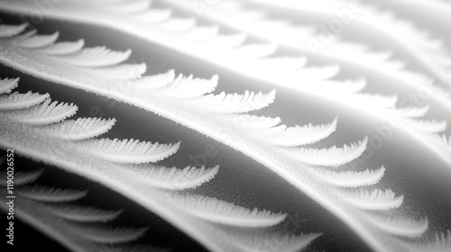 Closeup of frost patterns on a car window, appearing like delicate fern leaves, creating a natural winter masterpiece photo