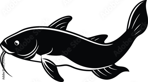 Catfish silhouette vector illustration, Catfish line art vector, Catfish vector design