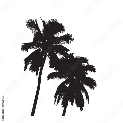 Black Silhouette of Palm Tree with Unique Frond Shapes