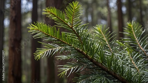 Close-up of Wollemi Pine: Nature’s Ancient Masterpiece in Every Detail photo