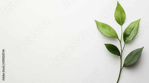 White copy space paper with eco green leaves background