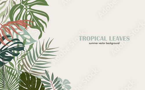 Summer background with different tropical leaves border, frame. Colorful flat vector illustration isolated.