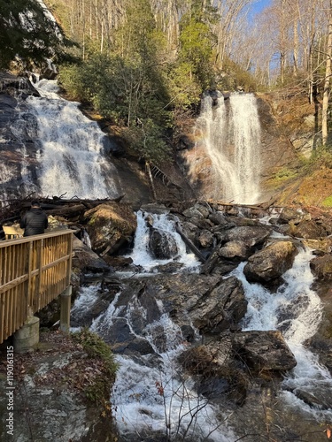 waterfall in the forest