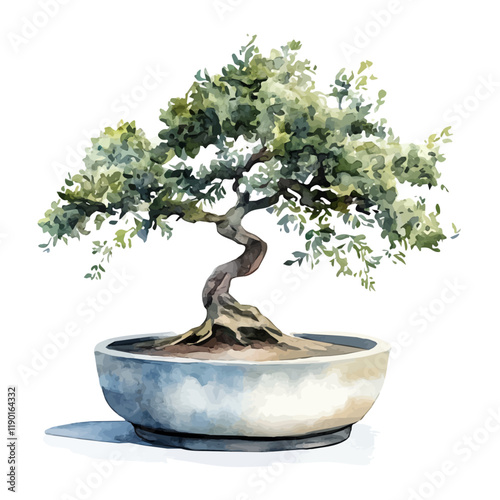 A watercolor illustration of a kapur bonsai, isolated on a white background. Kapur bonsai vector.
