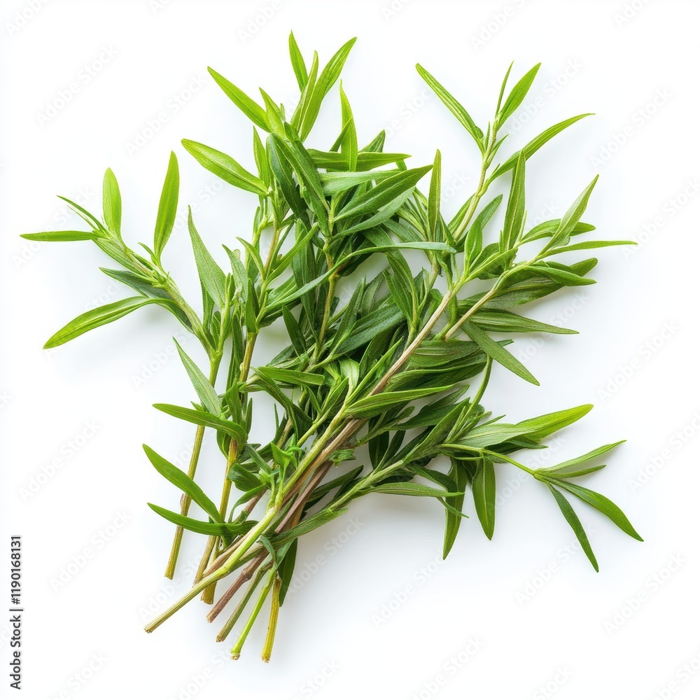 Fototapeta premium A detailed close-up showcasing a cluster of vibrant green leaves resting on a clean white surface, highlighting their texture and color contrast.