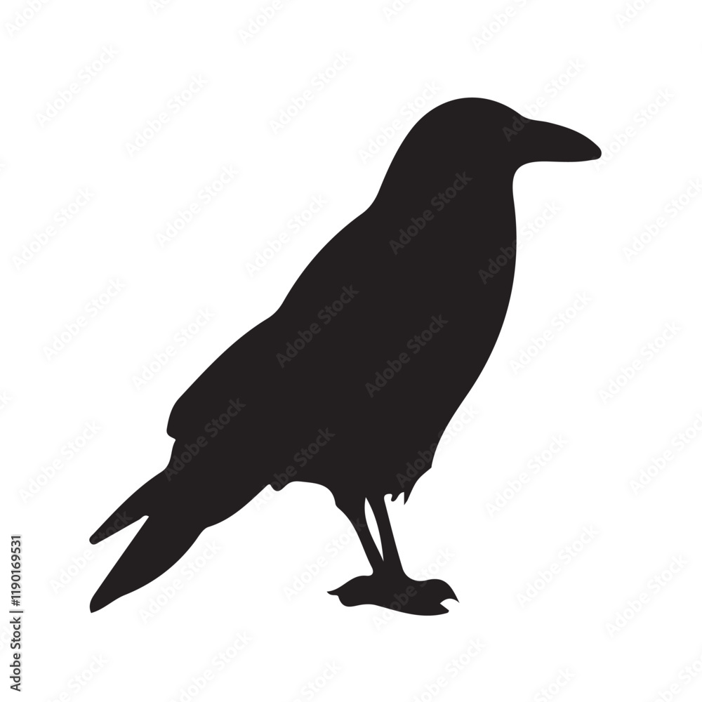 Crow raven bird vector silhouette. Vector Illustration eps 10 Crow raven bird vector silhouette. Vector Illustration eps 10