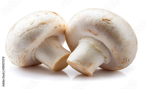 ホワイトマッシュルームと白い背景（white Champignons on white background）
