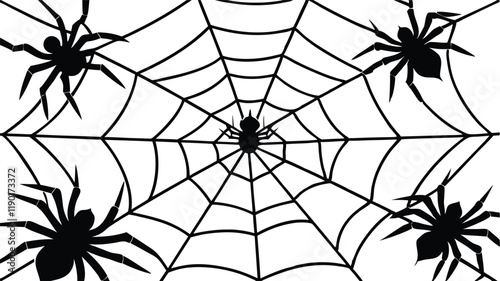 Spiders Crawling on a Web