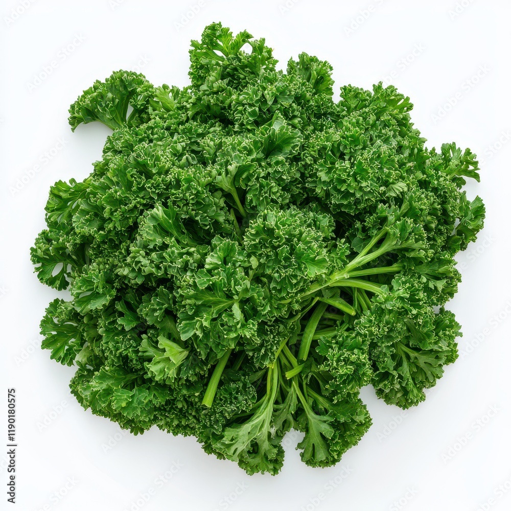 A detailed close-up of vibrant green leaves resting elegantly on a clean white surface, showcasing their texture and natural beauty. A detailed close-up of vibrant green leaves resting elegantly on a clean white surface, showcasing their texture and natural beauty.