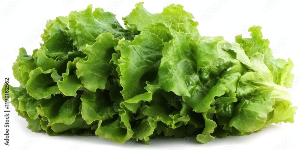 A detailed close-up of fresh lettuce leaves showcasing their vibrant green color and crisp texture on a clean white background. A detailed close-up of fresh lettuce leaves showcasing their vibrant green color and crisp texture on a clean white background.