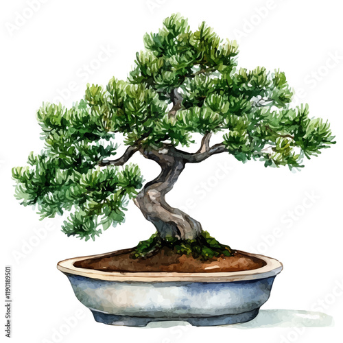 A watercolor clipart of a juniper bonsai, isolated on a white background. Juniper bonsai vector.
