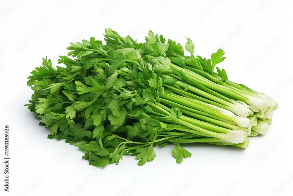 A vibrant close-up showcasing a variety of fresh green vegetables arranged neatly on a clean white surface. A vibrant close-up showcasing a variety of fresh green vegetables arranged neatly on a clean white surface.