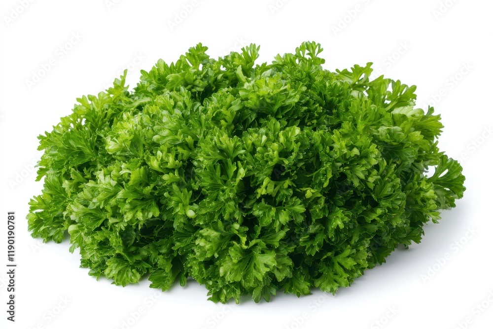 A detailed close-up view of fresh green parsley leaves arranged neatly on a clean white surface, showcasing their vibrant color and texture. A detailed close-up view of fresh green parsley leaves arranged neatly on a clean white surface, showcasing their vibrant color and texture.