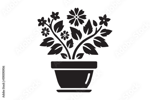 plant in a pot