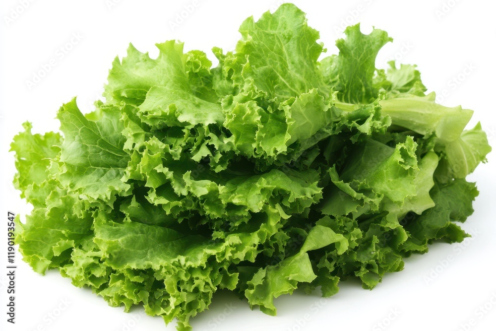 A detailed close-up view of fresh lettuce leaves arranged neatly on a clean white surface, highlighting their vibrant green color and crisp texture. A detailed close-up view of fresh lettuce leaves arranged neatly on a clean white surface, highlighting their vibrant green color and crisp texture.