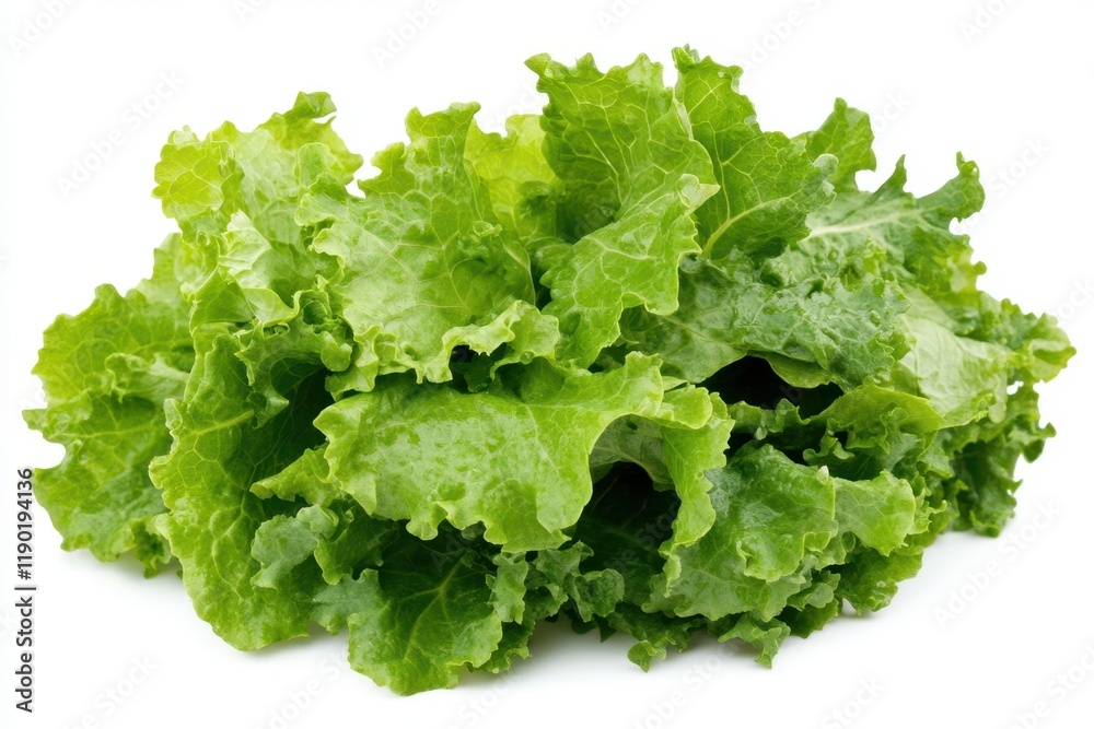 A detailed close-up view of fresh green lettuce leaves arranged neatly on a white surface, showcasing their crisp texture and vibrant color. A detailed close-up view of fresh green lettuce leaves arranged neatly on a white surface, showcasing their crisp texture and vibrant color.