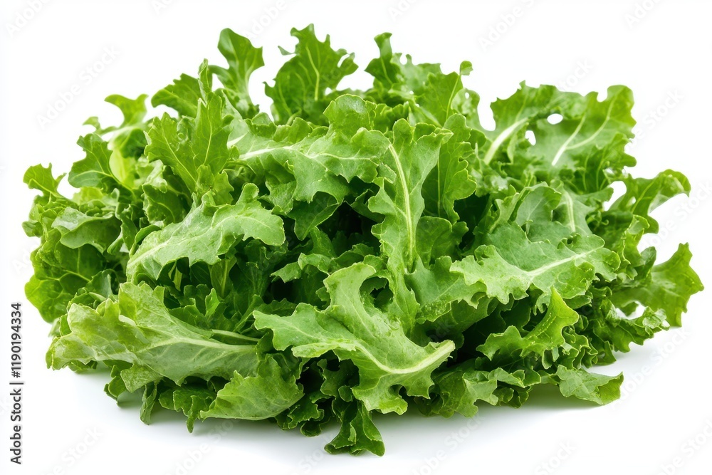 A vibrant collection of fresh green leafy vegetables arranged neatly on a clean white background, showcasing their natural textures and colors. A vibrant collection of fresh green leafy vegetables arranged neatly on a clean white background, showcasing their natural textures and colors.