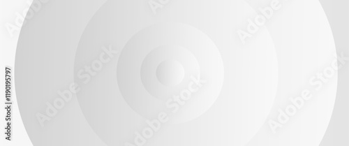 Minimalist Abstract White Concentric Circles Geometric Pattern Wallpaper Background