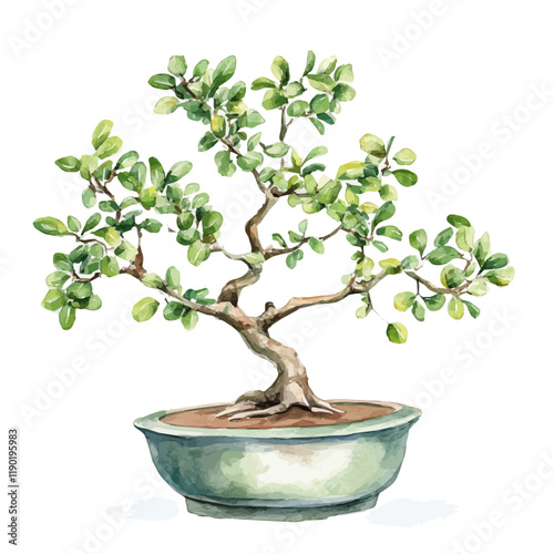 A watercolor of a jujube bonsai, isolated on a white background. Jujube bonsai vector.
