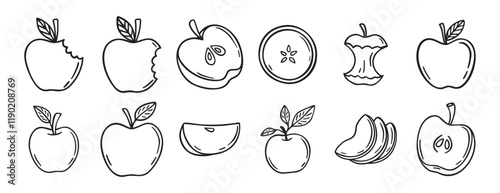  apple doodle hand drawn icon set. Outline drawing apple line clipart symbol collection