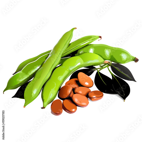 Fresh broad beans in pods with green leaf isolated  vector illustration (4)