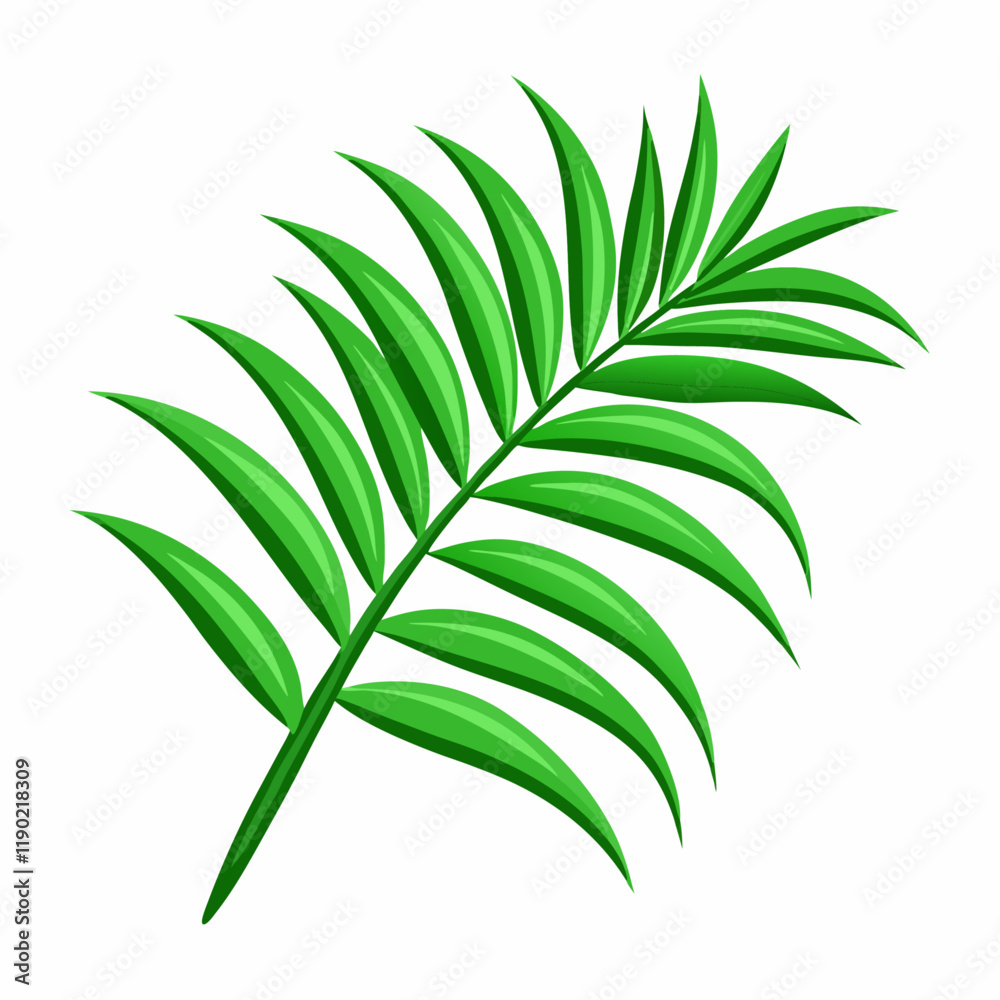 Fototapeta premium Palm branch, isolated vector illustration (2)