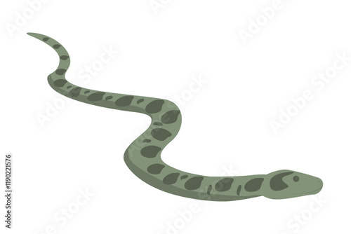 Green anaconda vector illustration. Wild giant snake isolated on white background. Water boa and nonvenomous carnivore reptile. Wildlife of South America.