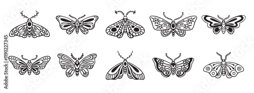 Moth doodle hand drawn icon set. Outline drawing moth line clipart symbol collection