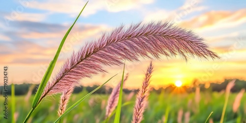 A close-up of a tall grass blade swaying gently in the wind against a sunset sky. photo