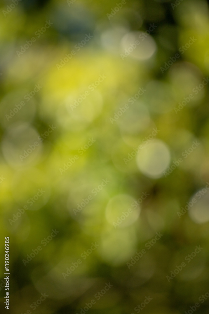 Green bokeh background, blurry green leaves out of focus. Green bokeh background, blurry green leaves out of focus.
