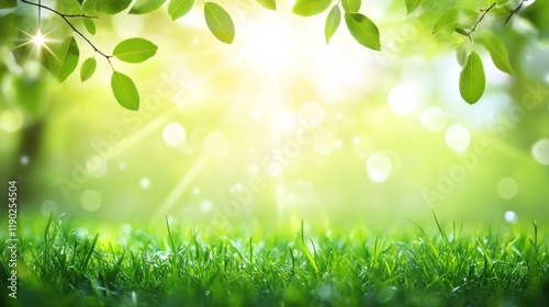 Springtime Meadow: Vibrant Green Grass and Sunlight