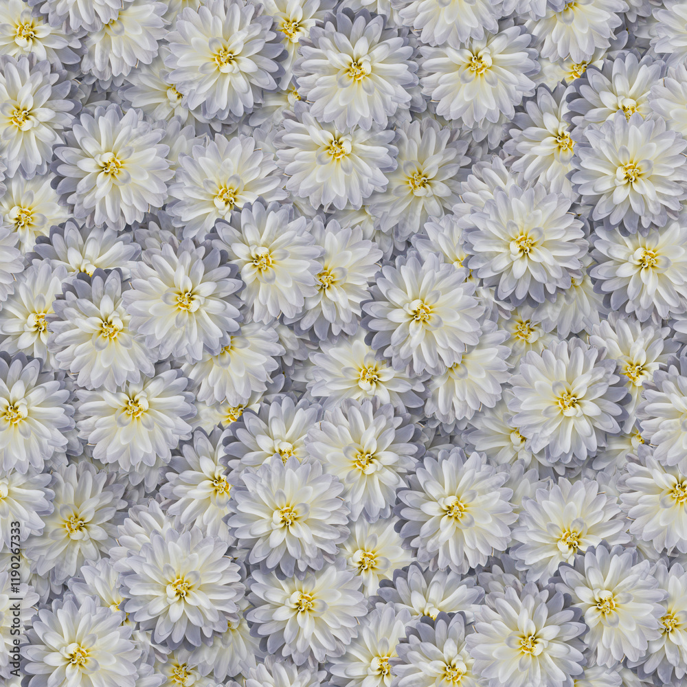 texture of a seamless flower pattern. decorative design elements texture of a seamless flower pattern. decorative design elements