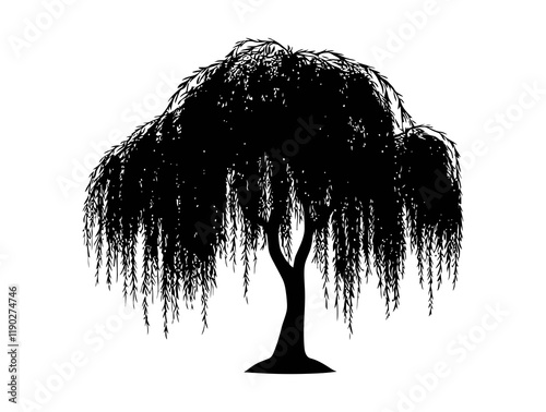 Willow black tree minimalist vector