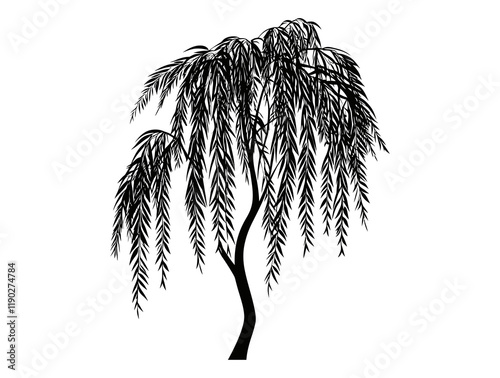 Willow black tree minimalist vector