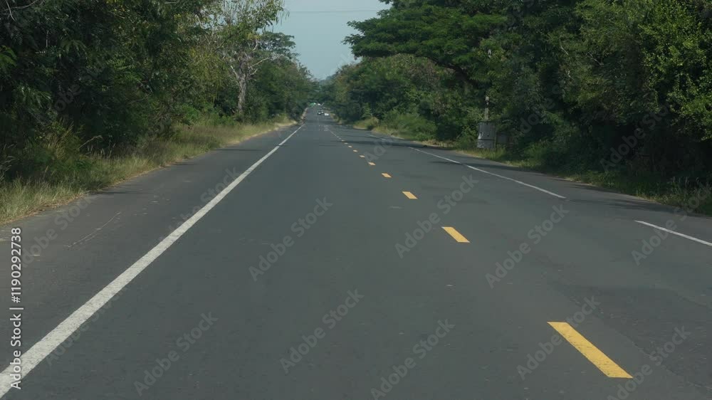 driving on highway rural paths and trees driving on highway rural paths and trees