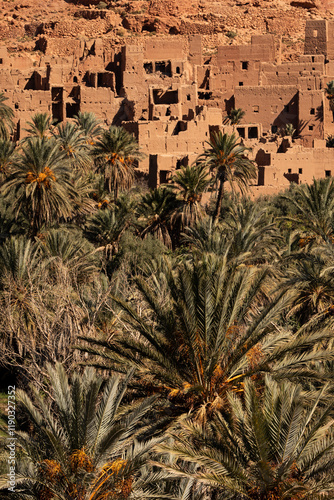 Kasbah and Date palm grove in Morocco photo