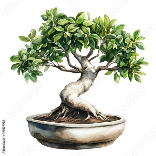 A watercolor drawing of an Indian banyan bonsai, isolated on a white background. Indian banyan bonsai vector.
