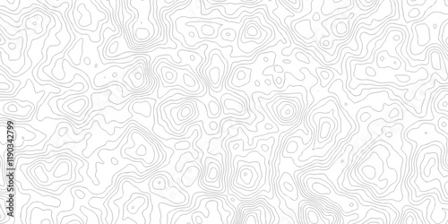 topography white background and black line wireframe isoline  location diagram world map texture design.