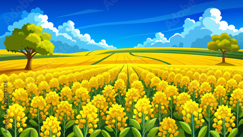 Golden field of flowering rapeseed with blue sky