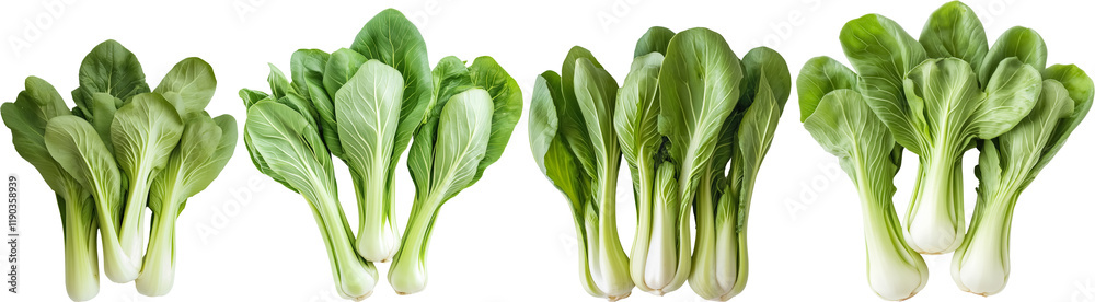 Bok Choy isolated on transparent background, perfect for culinary and healthy lifestyle visuals.