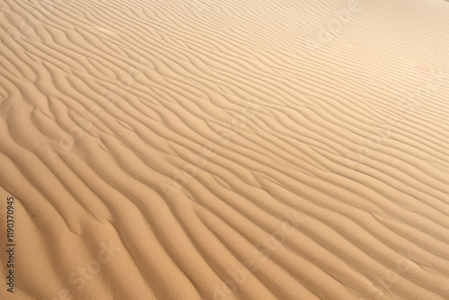 砂, 砂漠, 乾燥, 模様, 地面, 波, sand, desert, dry, pattern, ground, wave