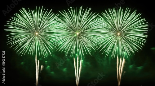 Vivid green fireworks burst against night sky in radiant display. Saint Patrick's Day, St Paddy's Day, St Patty's Day - Irish National Holiday and Cultural Celebration photo