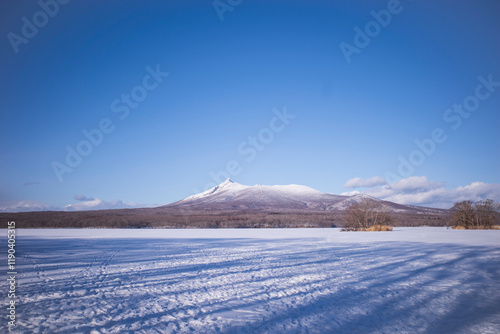 北海道大沼の冬の駒ヶ岳が見える風景