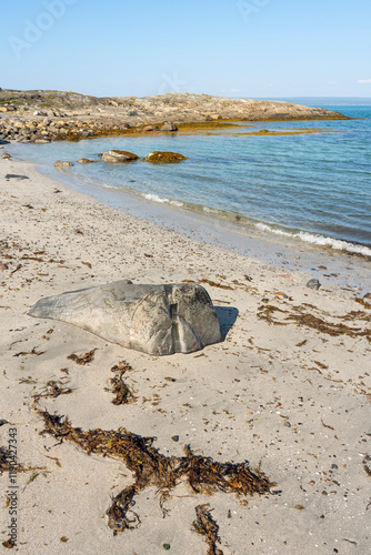 Beautiful and sunny summer day on the beach by the turquoise sea. Varangerfjorden, Sør-Varanger, Northern Norway photo