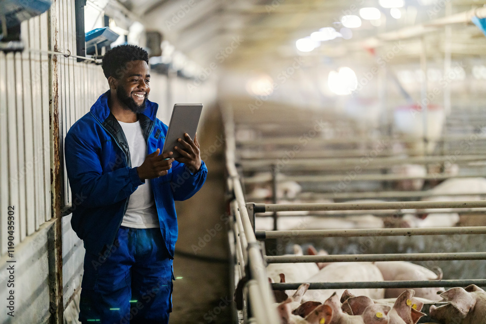 Black pigs breeder with tablet standing at pig farm with tablet in hands Black pigs breeder with tablet standing at pig farm with tablet in hands