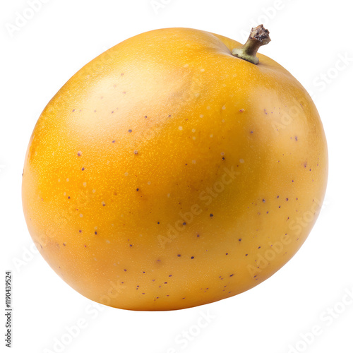 marula isolated on transparent background photo