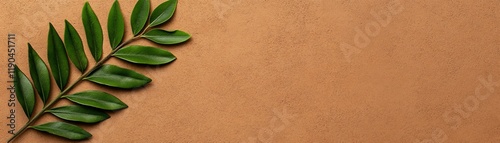 Zamia Furfuracea Leaf on Wood: A vibrant, healthy Zamia furfuracea leaf elegantly arranged on a warm, light brown wooden surface, offering a minimalist and natural aesthetic. photo
