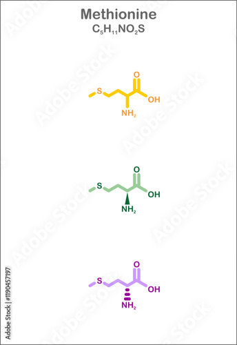 Methionine. Stylized structural formulas. Display of the unspecific-,  L- and D-Enantiomer formulas.