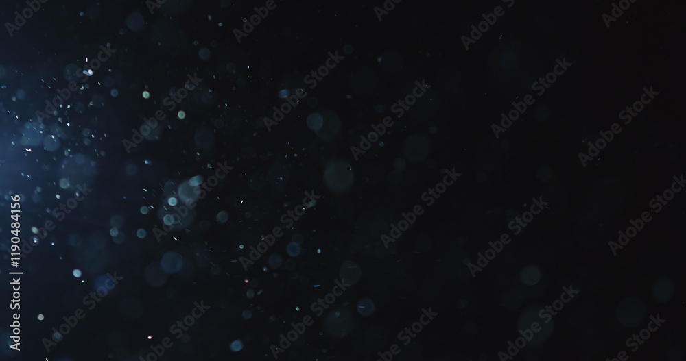 Fototapeta premium natural dust particles float in air on black background