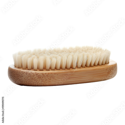 Body brush isolated 